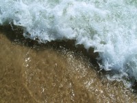 /album/nesian-photography1/nesian-picture-17-copy-jpg/